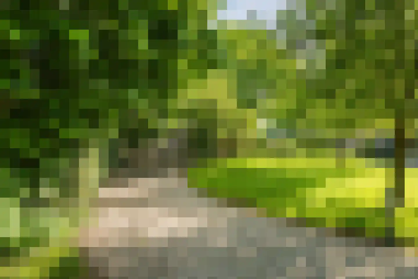 de Leuke 6 Vorden thumbnail 62