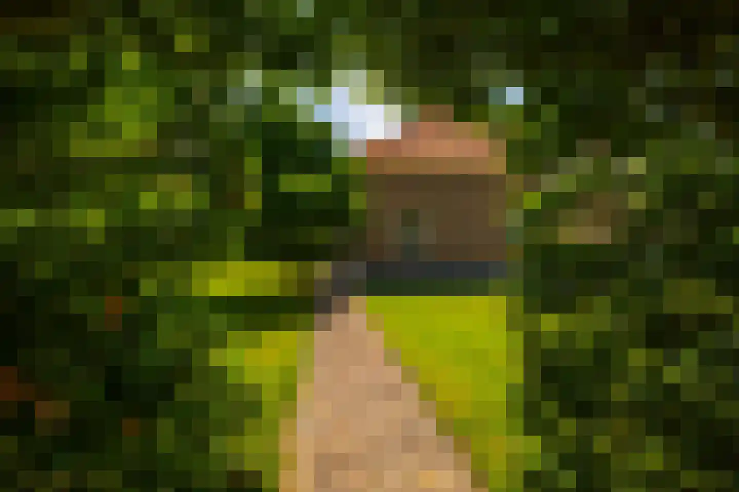 de Leuke 6 Vorden thumbnail 63
