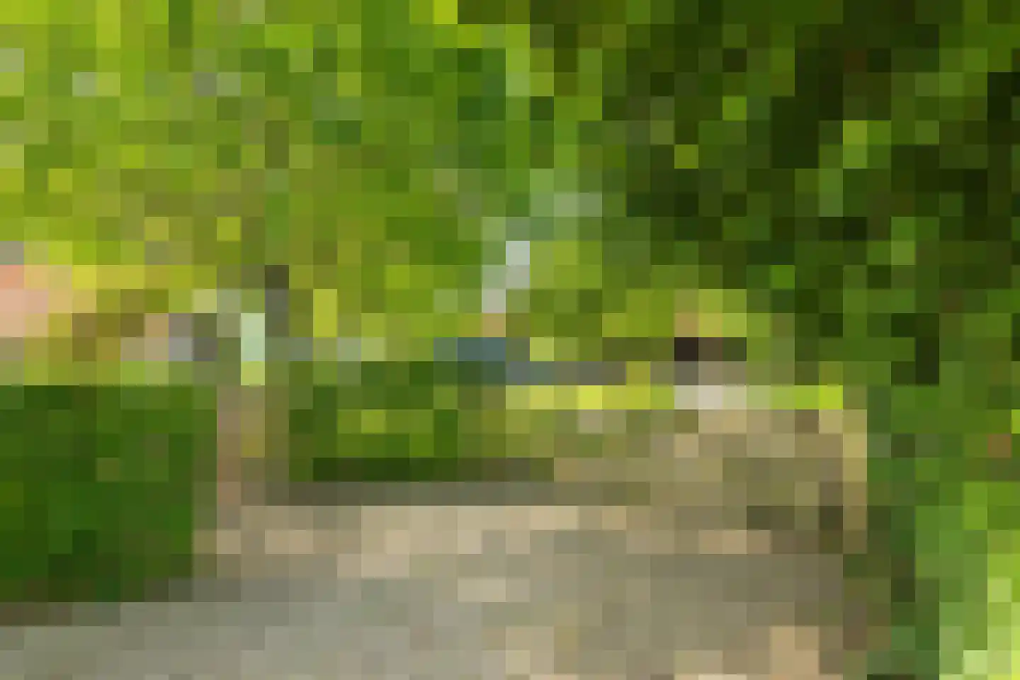 de Leuke 6 Vorden thumbnail 63