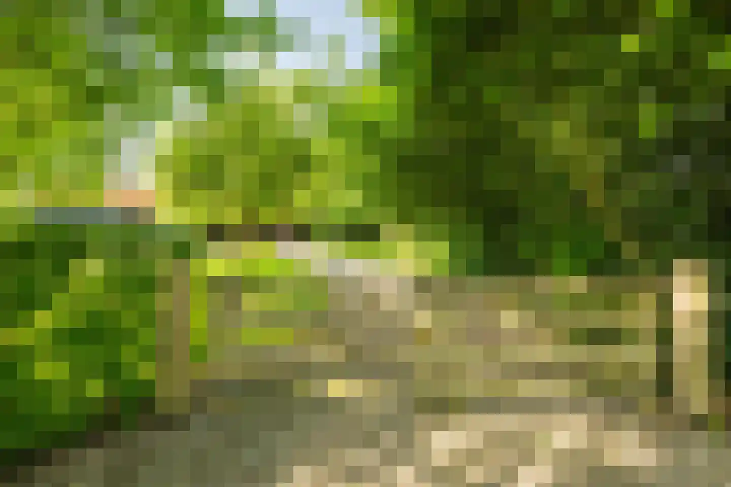 de Leuke 6 Vorden thumbnail 64