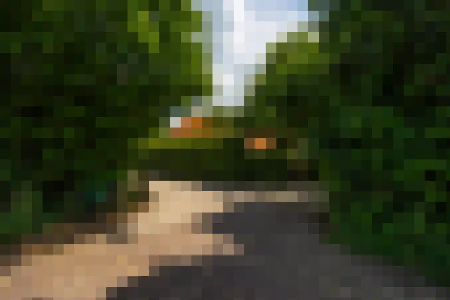 de Leuke 6 Vorden thumbnail 64