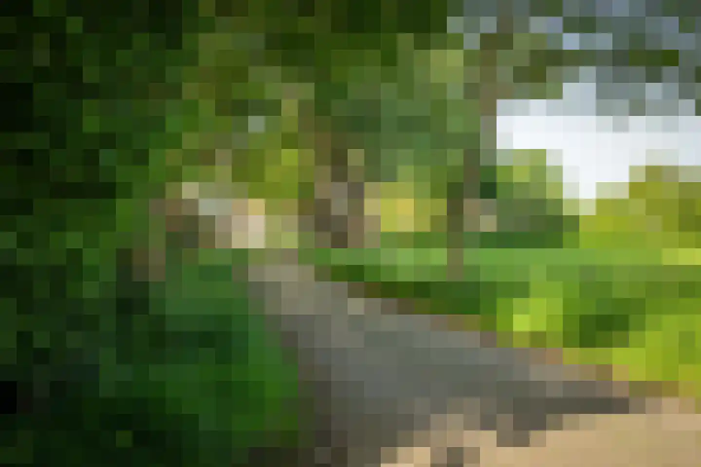 de Leuke 6 Vorden thumbnail 65