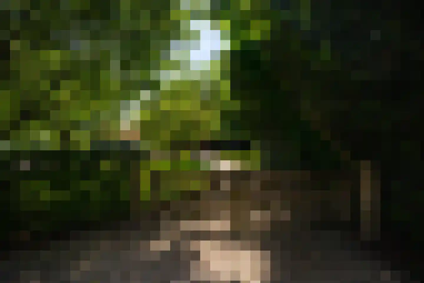 de Leuke 6 Vorden thumbnail 65
