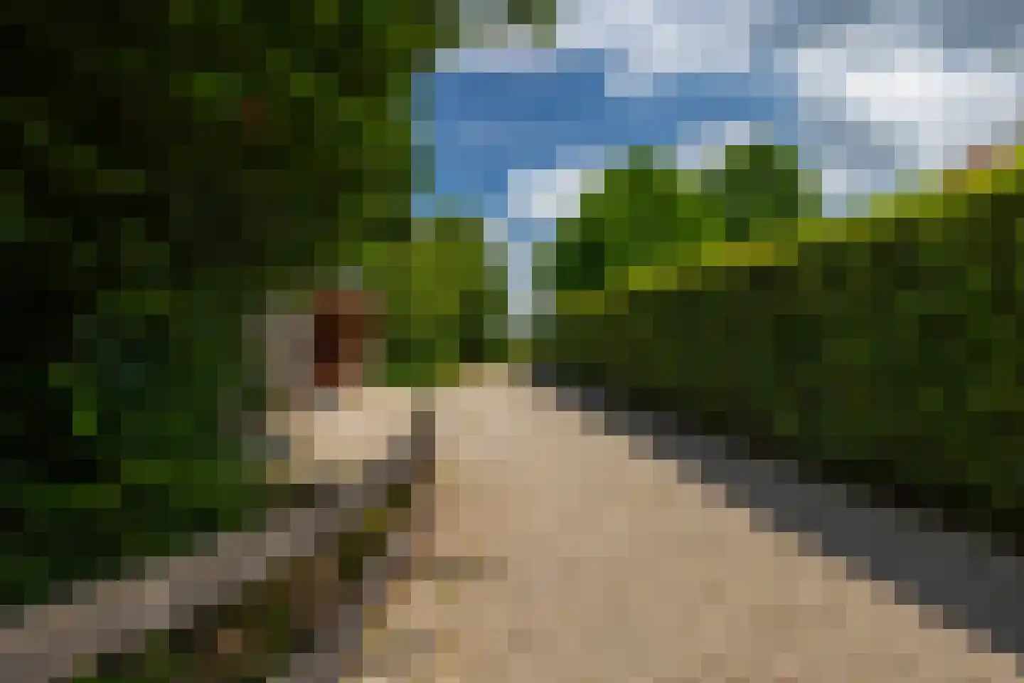 de Leuke 6 Vorden thumbnail 66