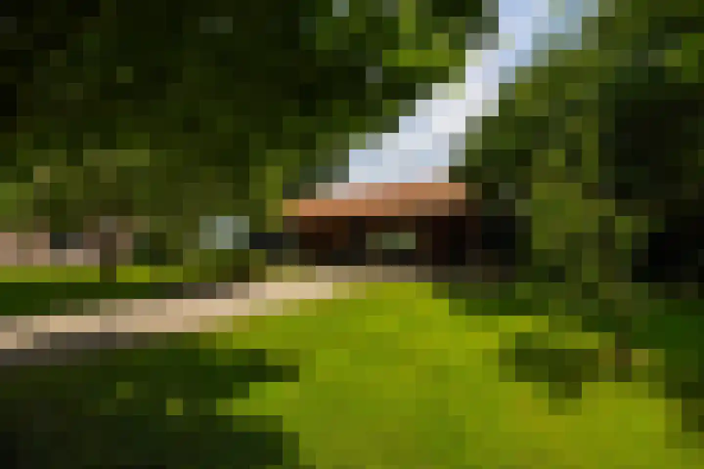 de Leuke 6 Vorden thumbnail 68