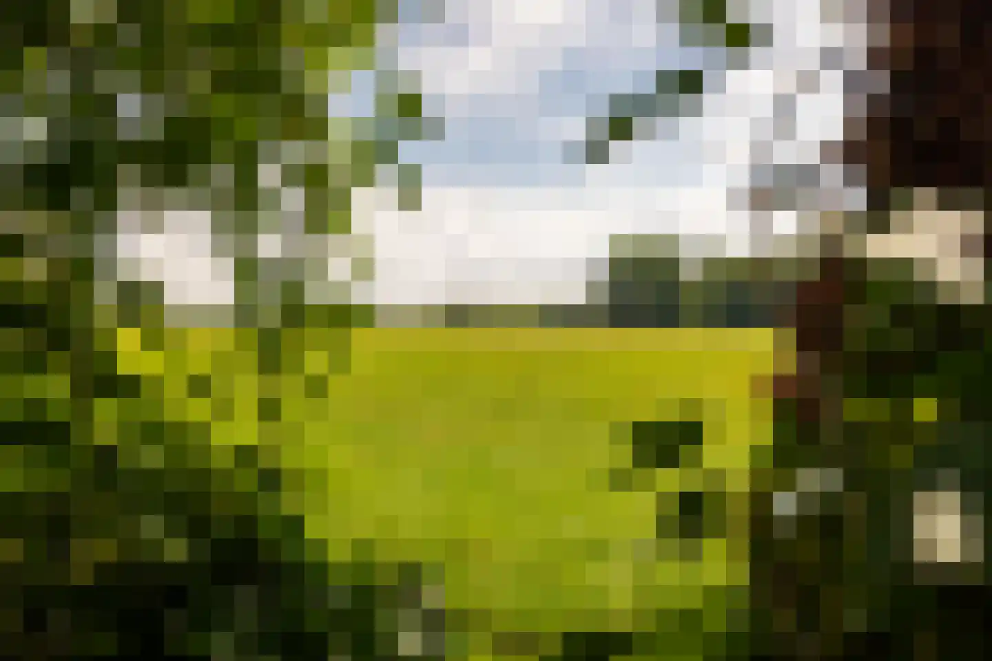 de Leuke 6 Vorden thumbnail 69