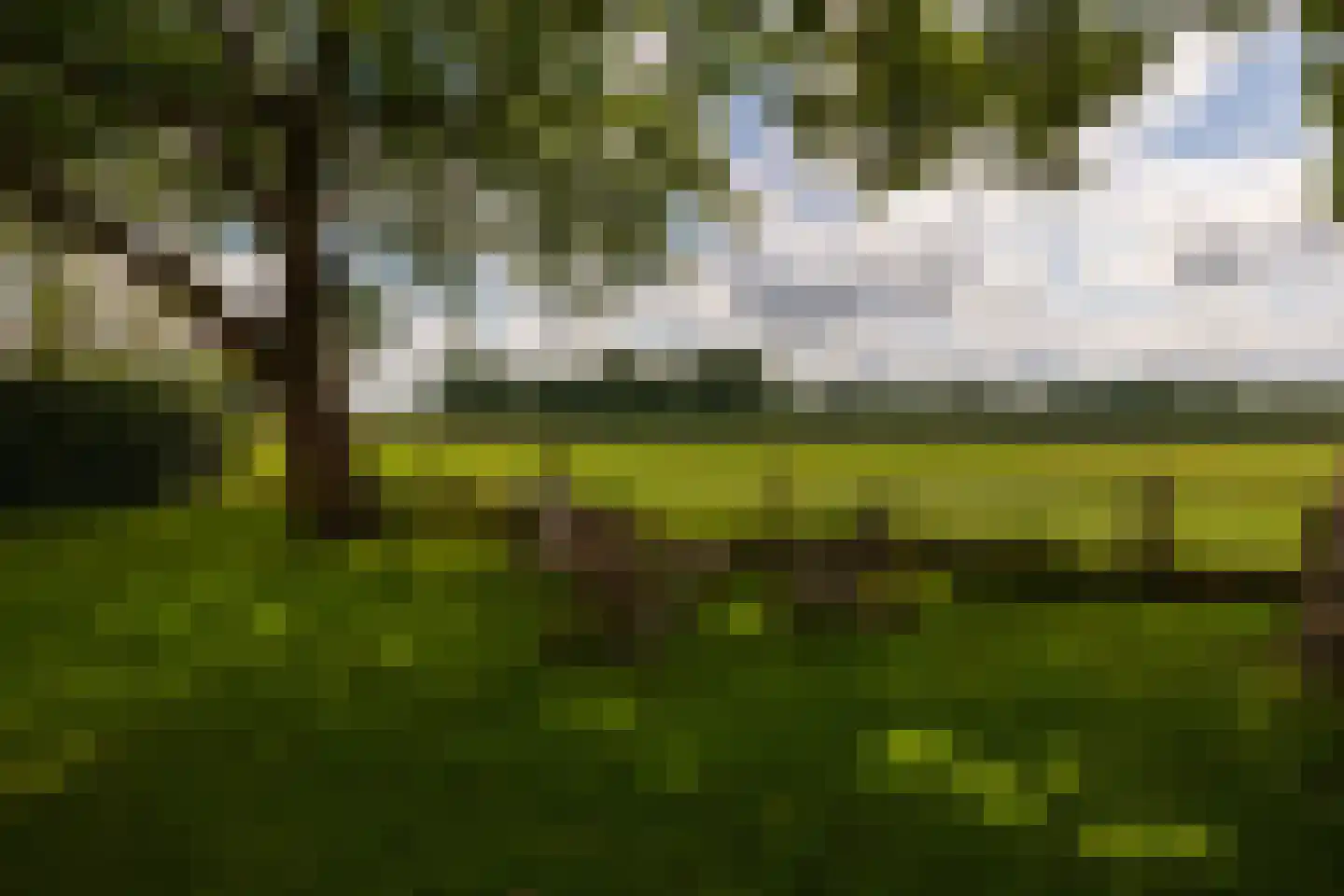 de Leuke 6 Vorden thumbnail 7