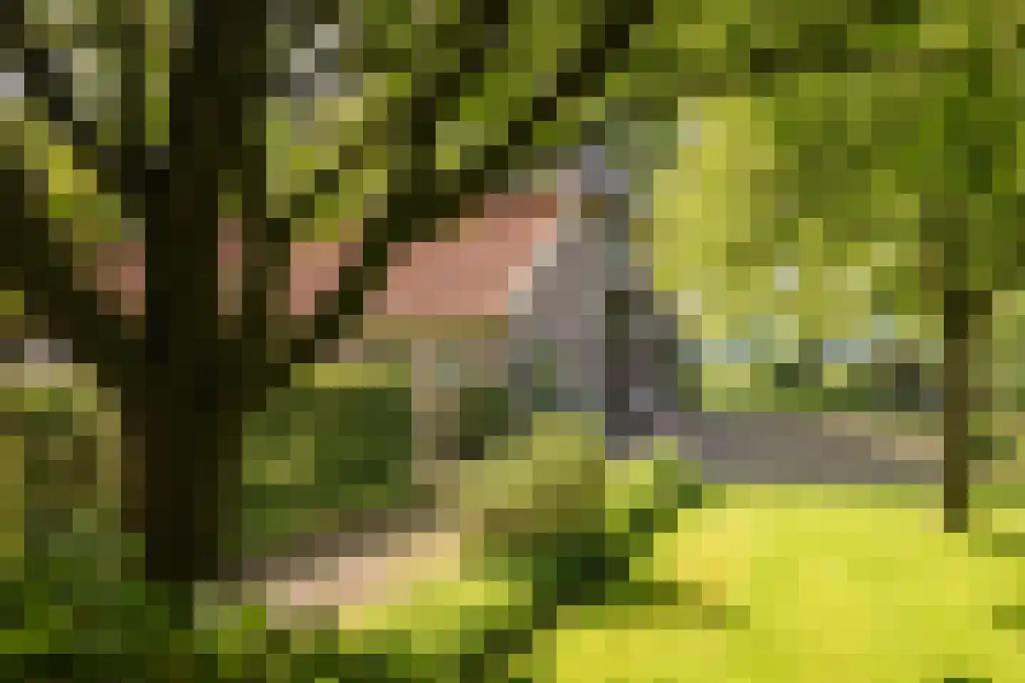 de Leuke 6 Vorden thumbnail 7