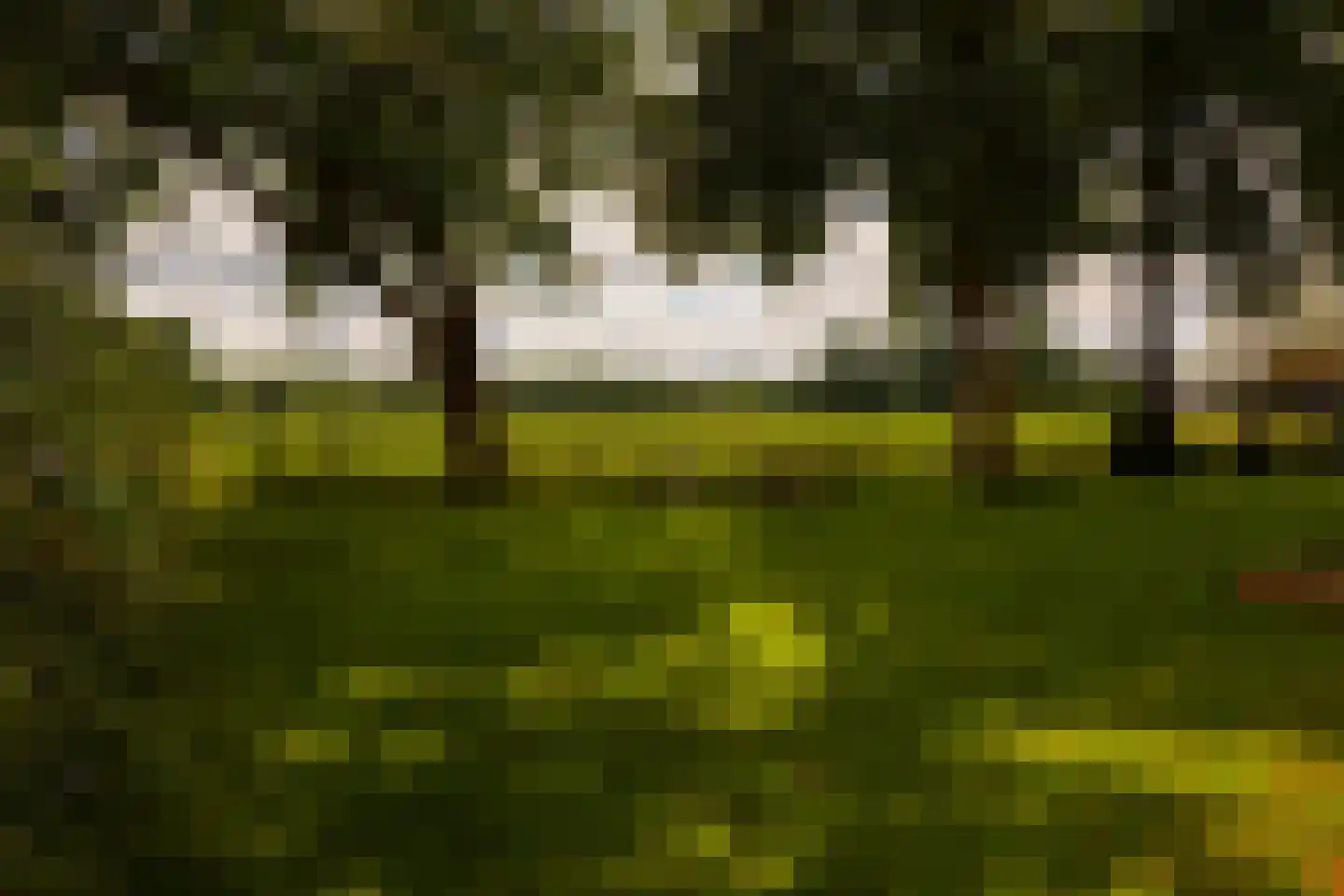 de Leuke 6 Vorden thumbnail 70