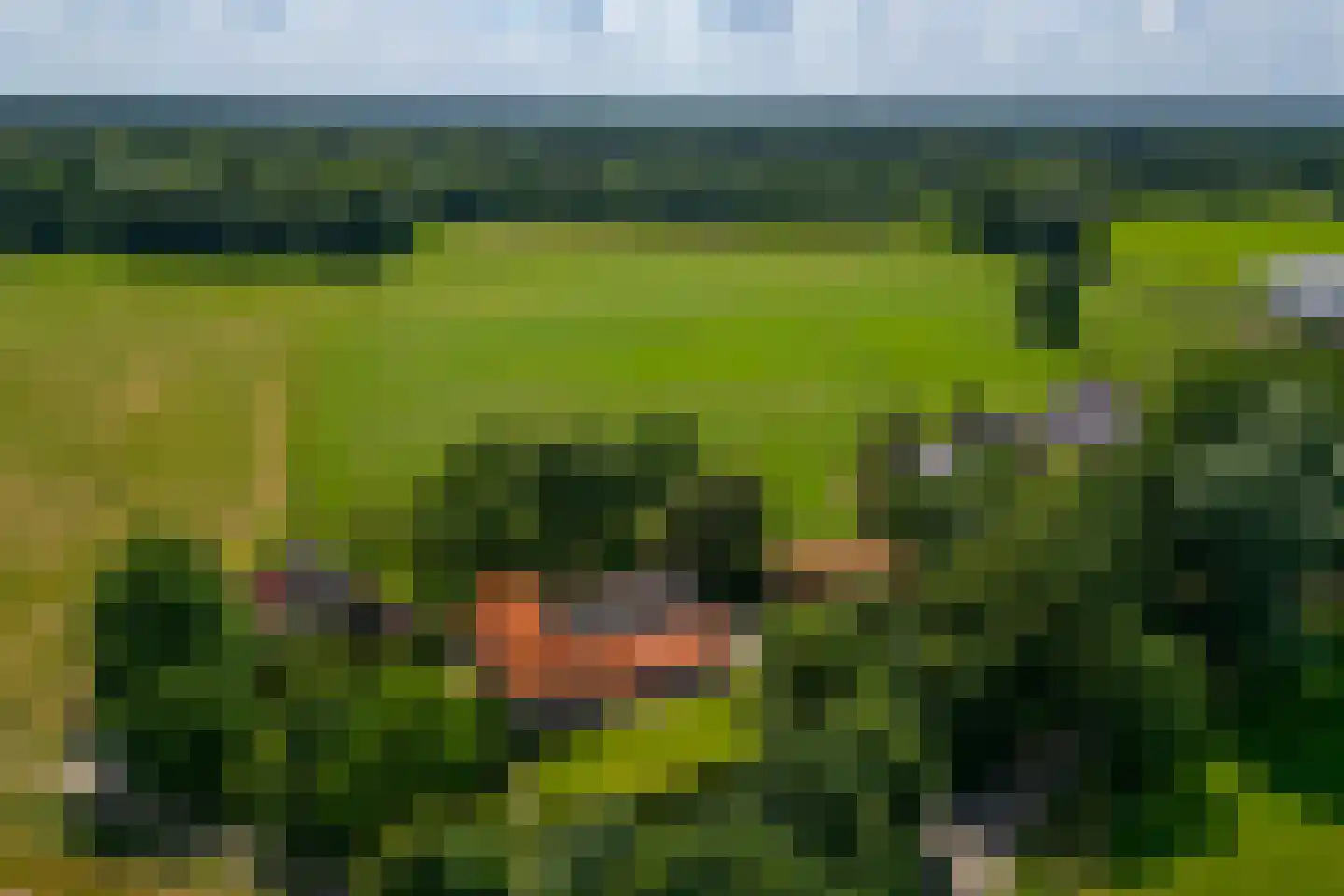 de Leuke 6 Vorden thumbnail 75