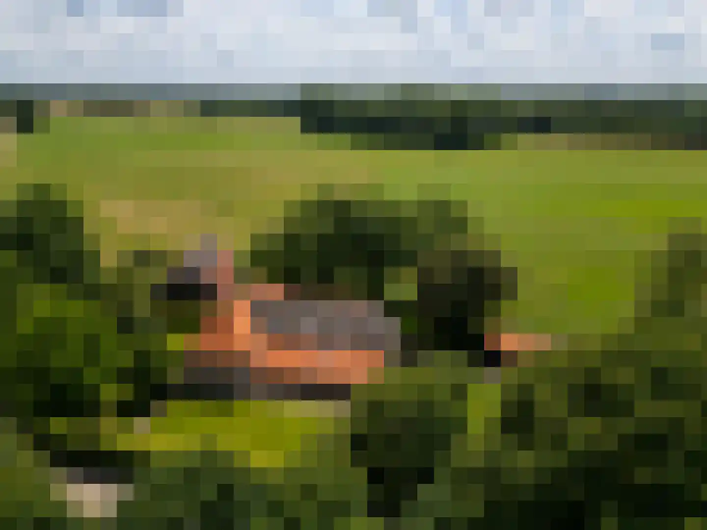 de Leuke 6 Vorden thumbnail 76