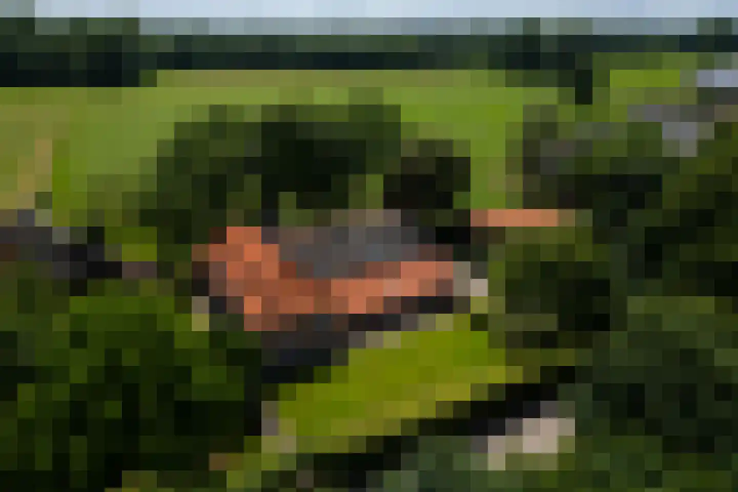 de Leuke 6 Vorden thumbnail 77