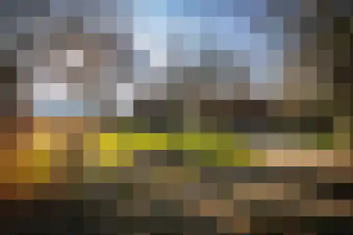 de Leuke 6 Vorden thumbnail 8