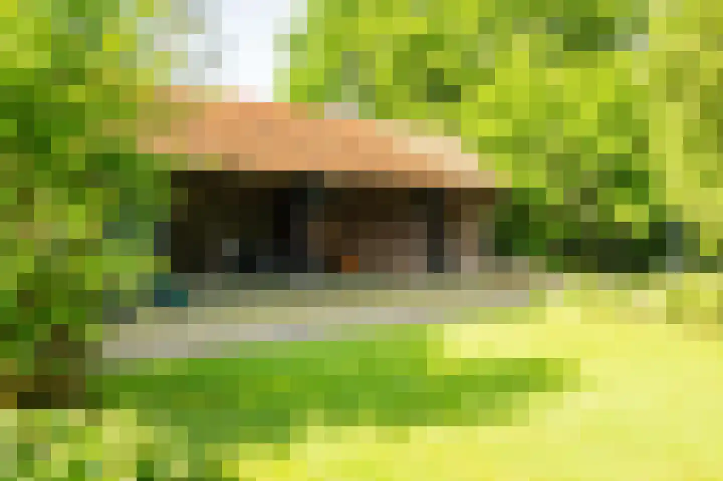 de Leuke 6 Vorden thumbnail 8