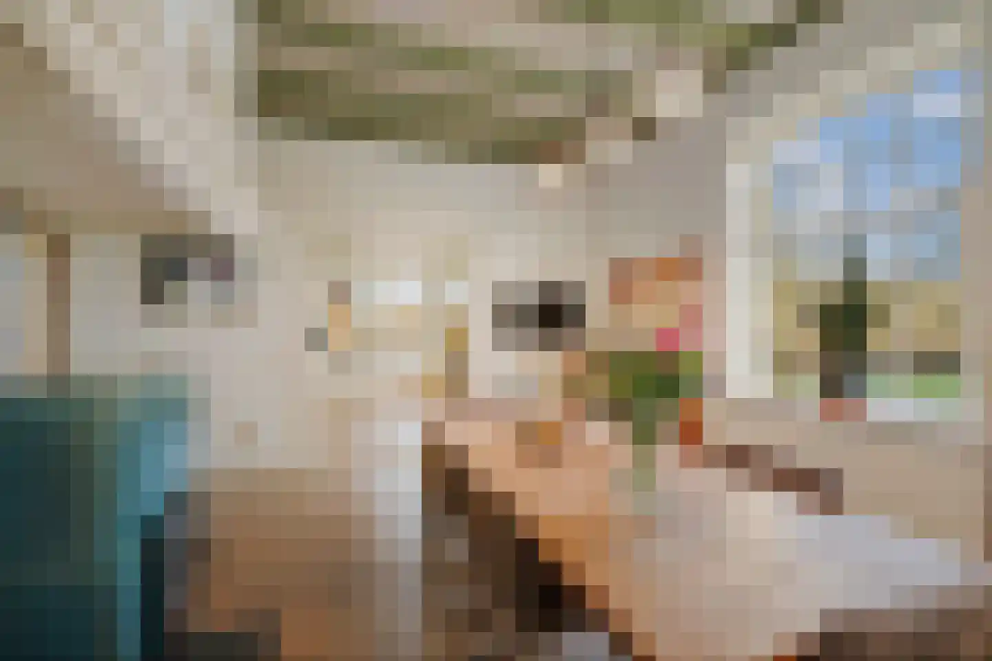de Leuke 6 Vorden thumbnail 9