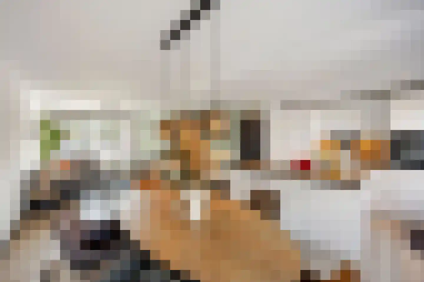 de Leuper 25 Schinveld thumbnail 10