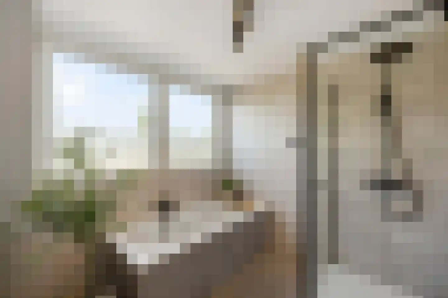 de Leuper 25 Schinveld thumbnail 18