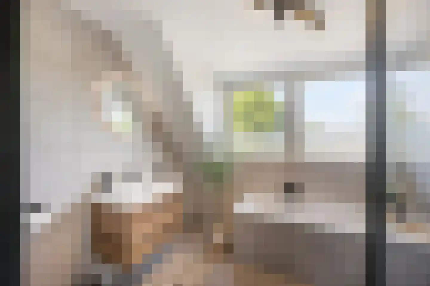 de Leuper 25 Schinveld thumbnail 19