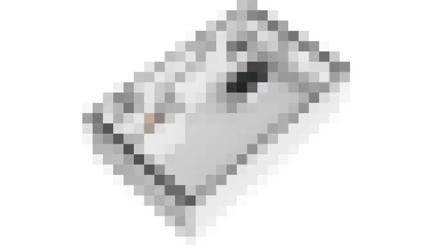 de Leuper 25 Schinveld thumbnail 30
