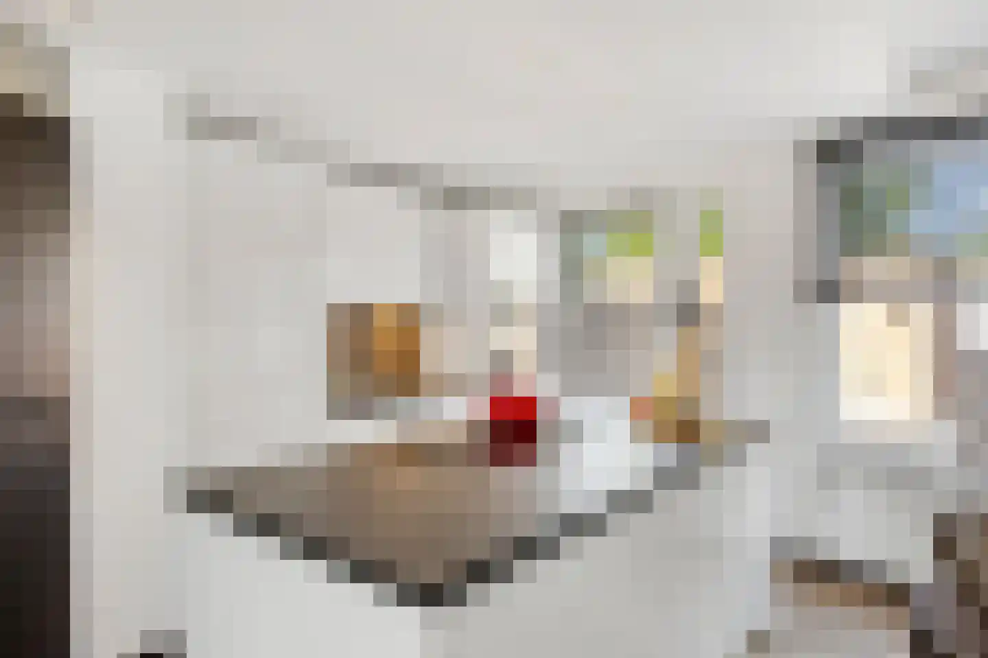 de Leuper 25 Schinveld thumbnail 6