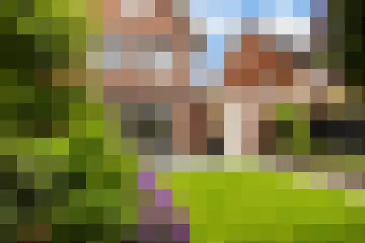 De Leuremaat 8 Wekerom thumbnail 32