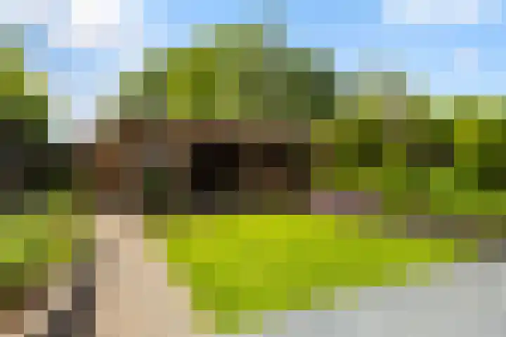 De Leuremaat 8 Wekerom thumbnail 33