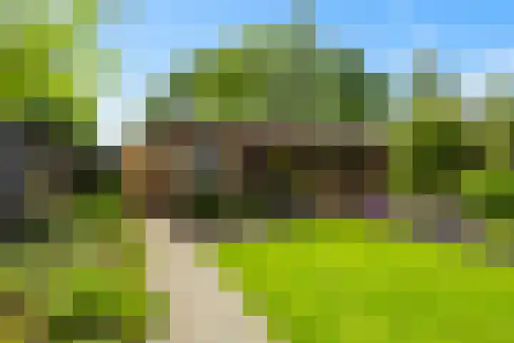 De Leuremaat 8 Wekerom thumbnail 34
