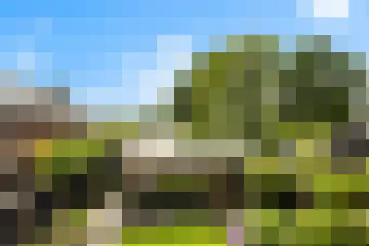De Leuremaat 8 Wekerom thumbnail 40