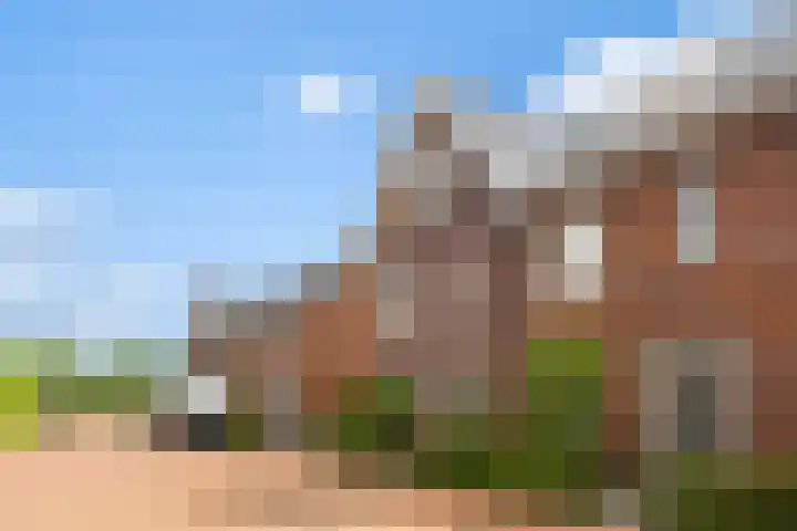 De Leuremaat 8 Wekerom thumbnail 42