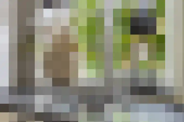 De Leuremaat 8 Wekerom thumbnail 9