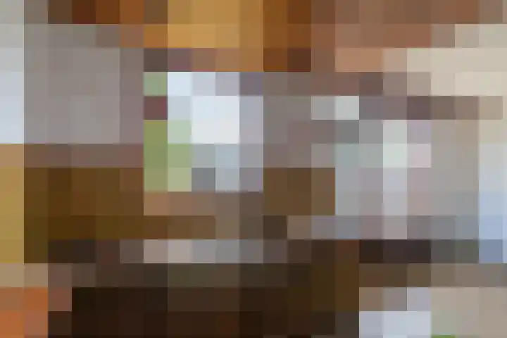De Leyen 12 Callantsoog thumbnail 12