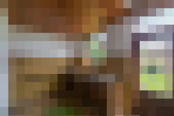 De Leyen 12 Callantsoog thumbnail 13