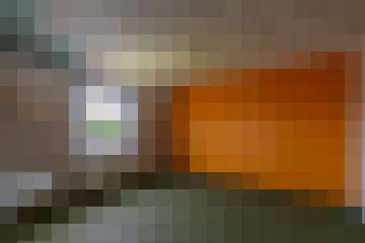 De Leyen 12 Callantsoog thumbnail 16