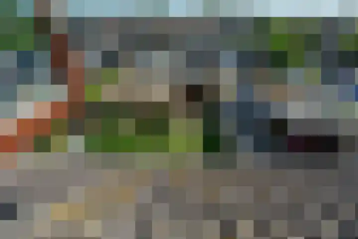 De Leyen 12 Callantsoog thumbnail 18