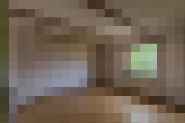 De Leyen 12 Callantsoog thumbnail 20