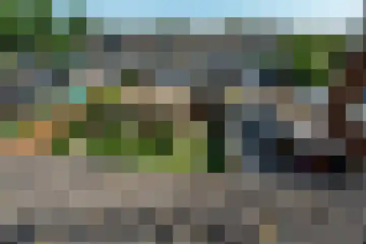 De Leyen 12 Callantsoog thumbnail 32