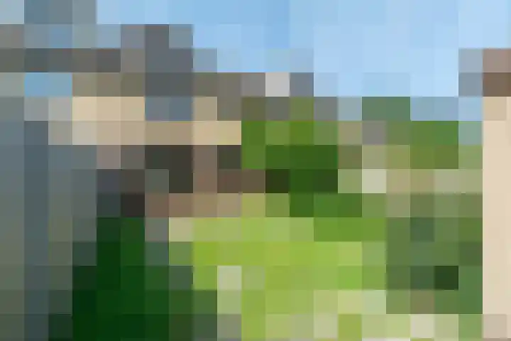 De Leyen 12 Callantsoog thumbnail 34