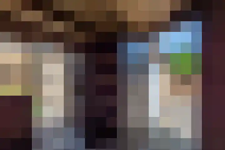De Leyen 12 Callantsoog thumbnail 36