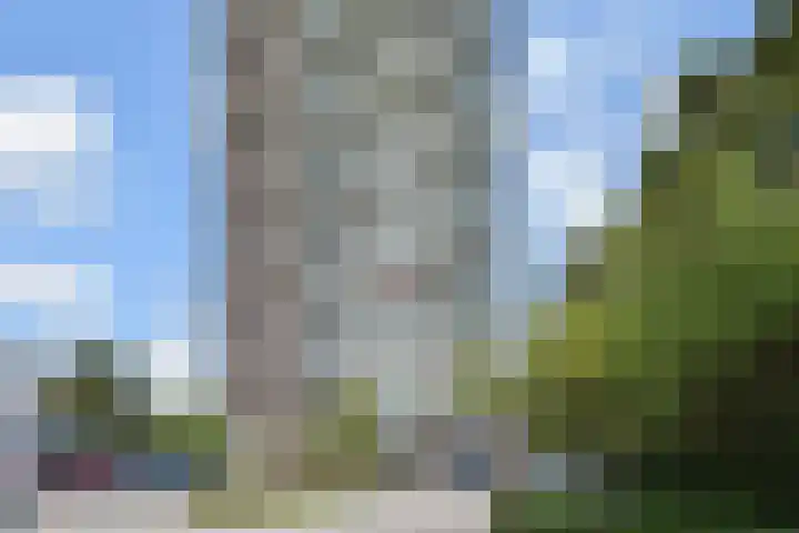 De Leyen 12 Callantsoog thumbnail 4