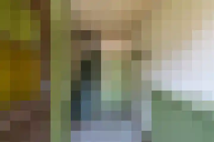De Leyen 12 Callantsoog thumbnail 5