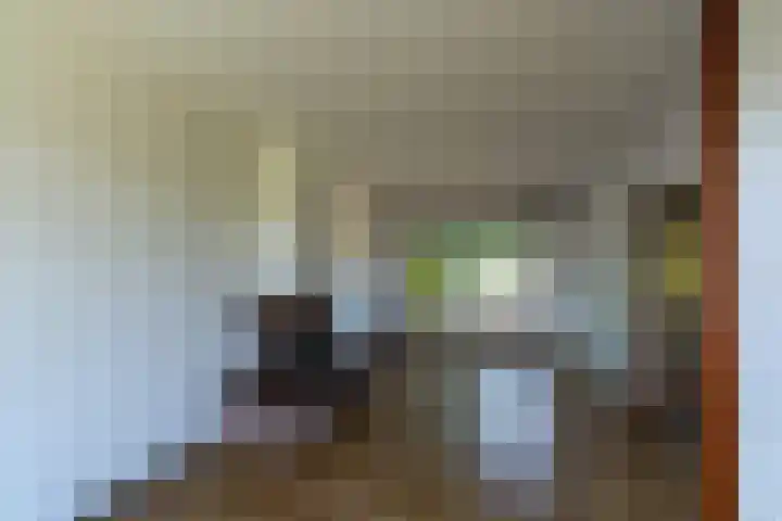 De Leyen 12 Callantsoog thumbnail 6