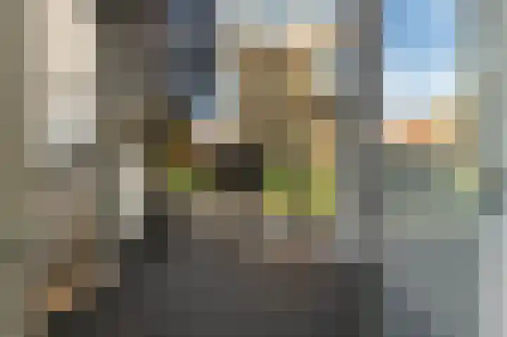 De Leystarlaan 29 Haarlem thumbnail 43