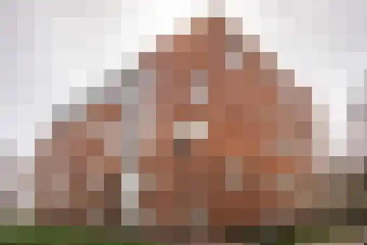 De Leystarlaan 29 Haarlem thumbnail 53