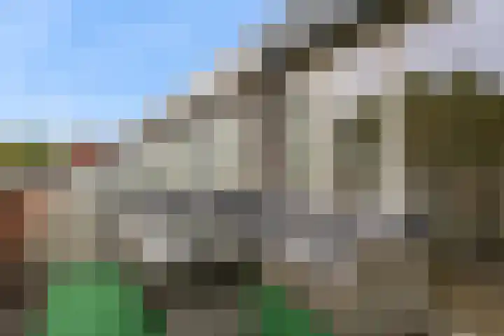 De Libel 10 Stein thumbnail 20