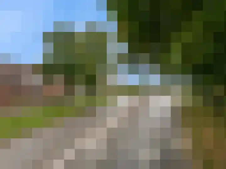 De Libel 10 Stein thumbnail 28