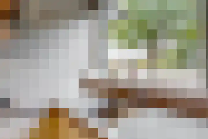 De Libel 10 Stein thumbnail 8