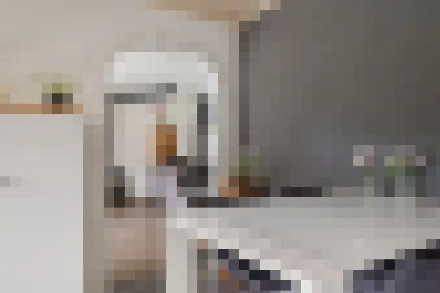 de Lichtenburg 8 Dalerveen thumbnail 10