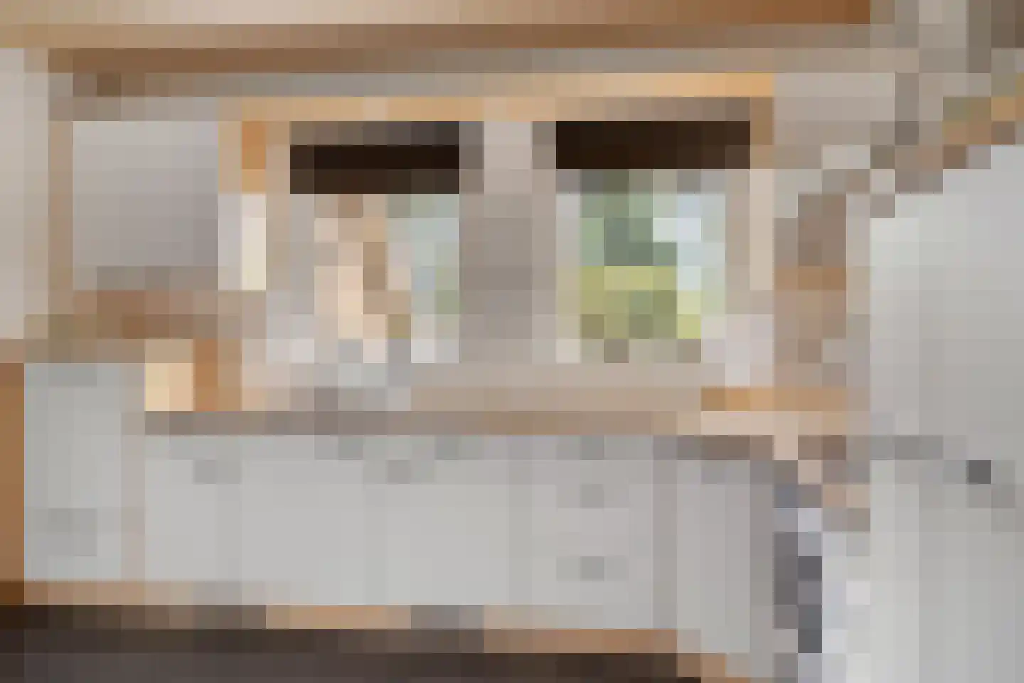 de Lichtenburg 8 Dalerveen thumbnail 12