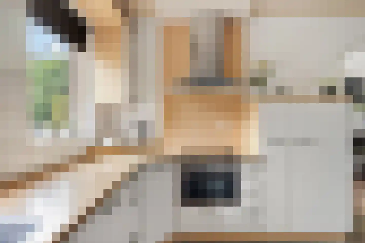 de Lichtenburg 8 Dalerveen thumbnail 14