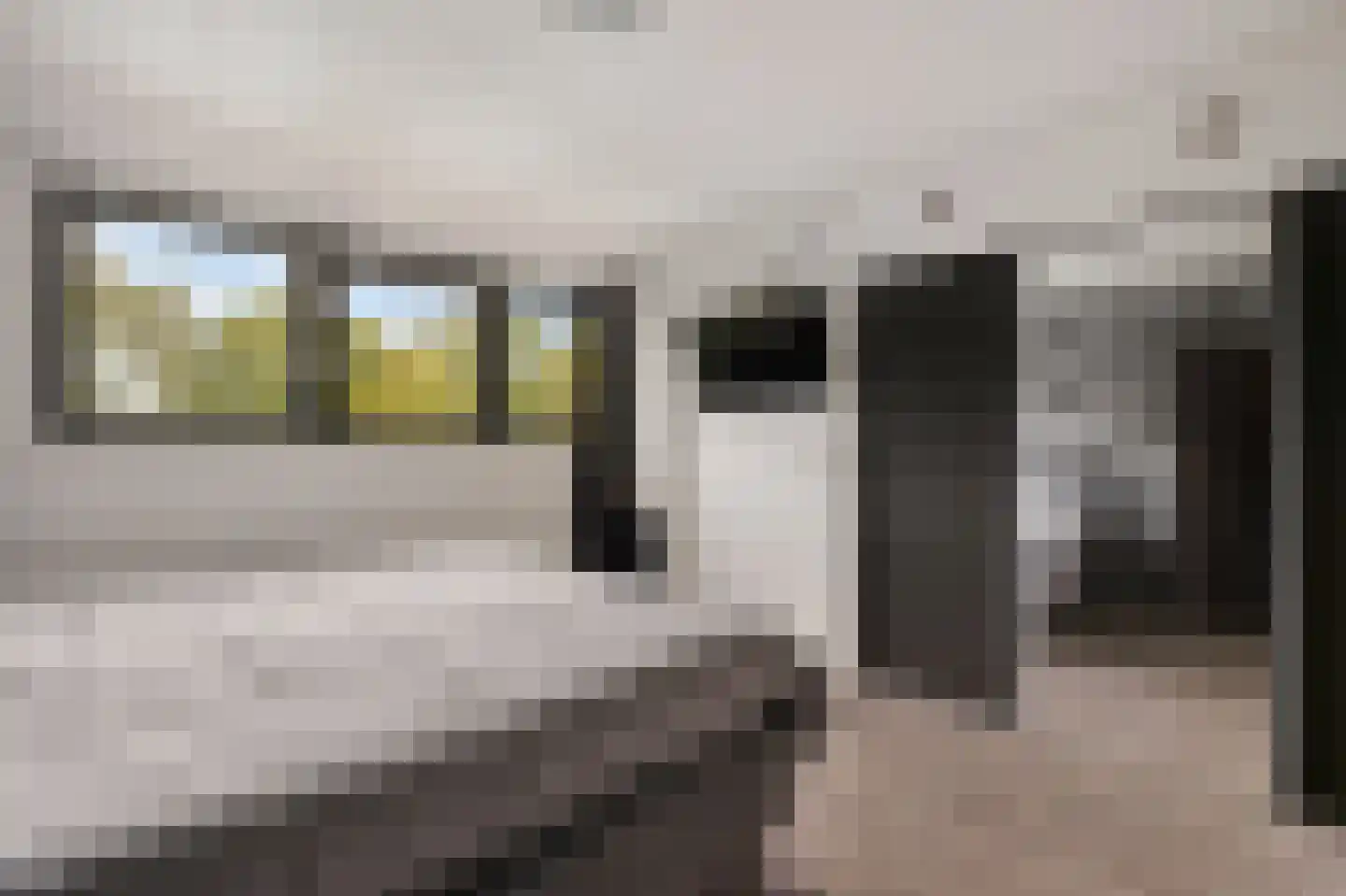 de Lichtenburg 8 Dalerveen thumbnail 24